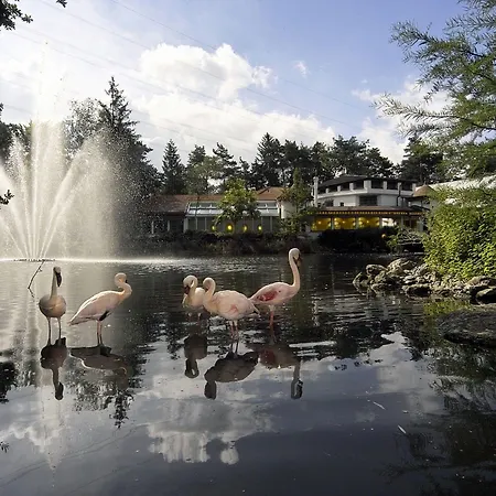 Hotel Florida Studen